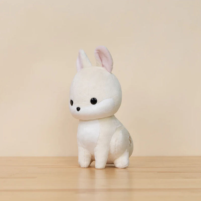 Bellzi Bunni the Dwarf White Rabbit