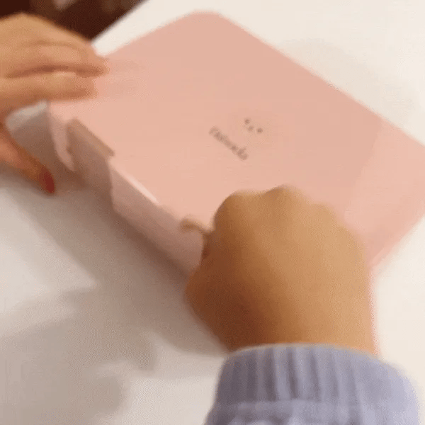 Bear Box Lunch Box For kids