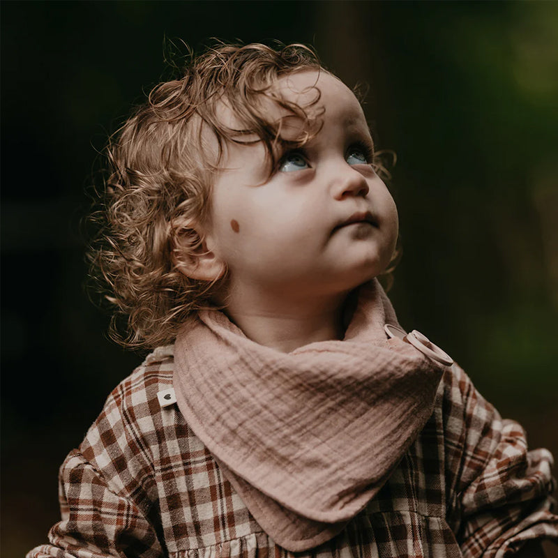 Bibs Bandana Bib