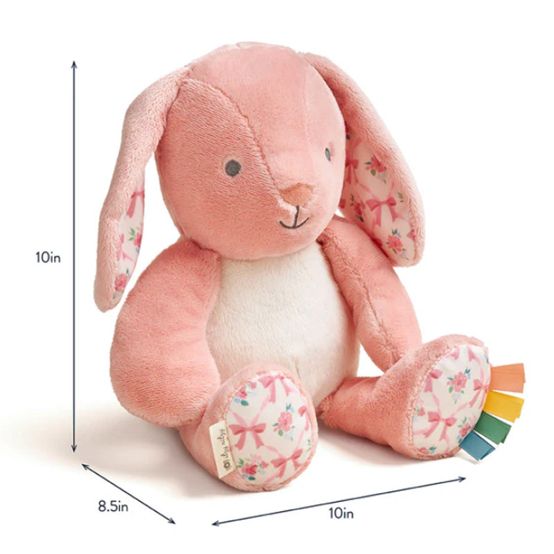 Itzy Ritzy Sweetie Snuggles Plush-Bunny