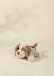 COCO VILLAGE Medium Dog Plush Toy