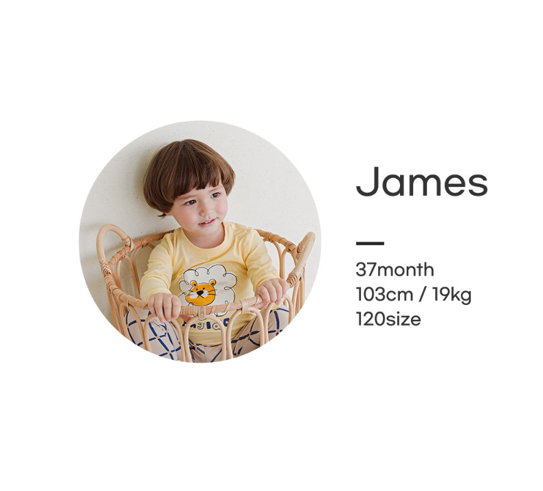 Single Spandex Fabric Pajamas set-Lion