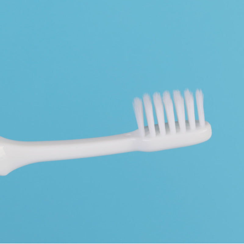 Nordico Kinder Toothbrush Summer Blue Editionx