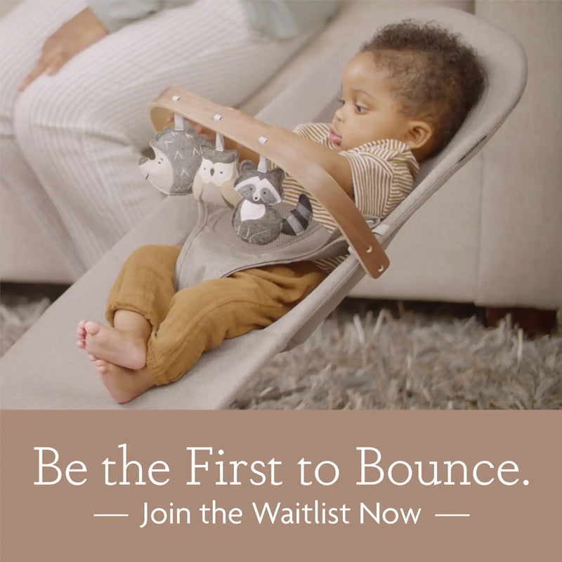 UPPAbaby Mira 2 in 1 Bouncer and Seat