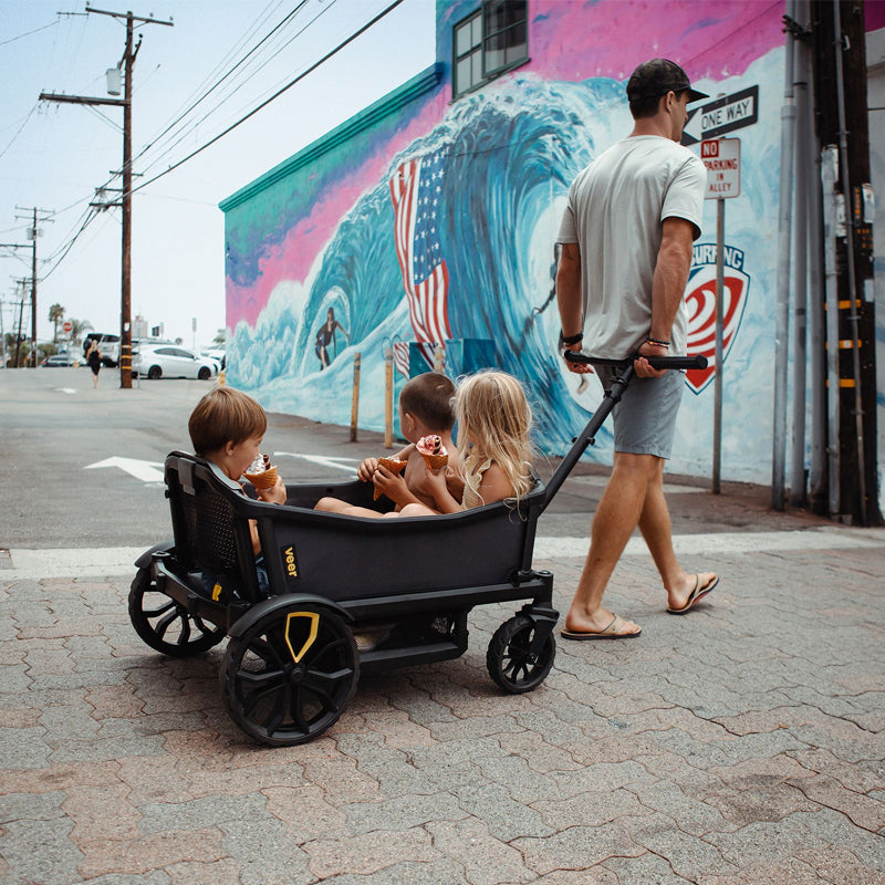 Veer Cruiser All-Terrain Wagon XL